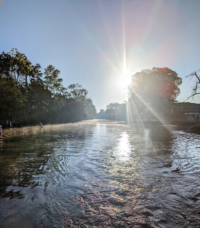 Manatee Tour and Dive: Crystal River’s Underwater Sanctuary surrounding landscape