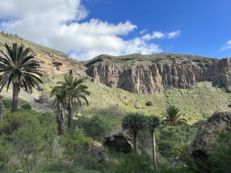 Volcanic Wonder at Caldera de Bandama, Gran Canaria - Caldera de Bandama