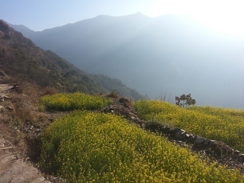 Mountain Trekking in the Annapurna Region, Nepal - Annapurna Trekking