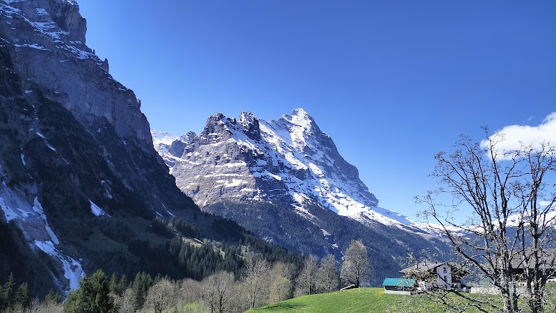 Alpine Adventure at Grindelwald-First - Top of Adventure - Grindelwald-First - Top of Adventure