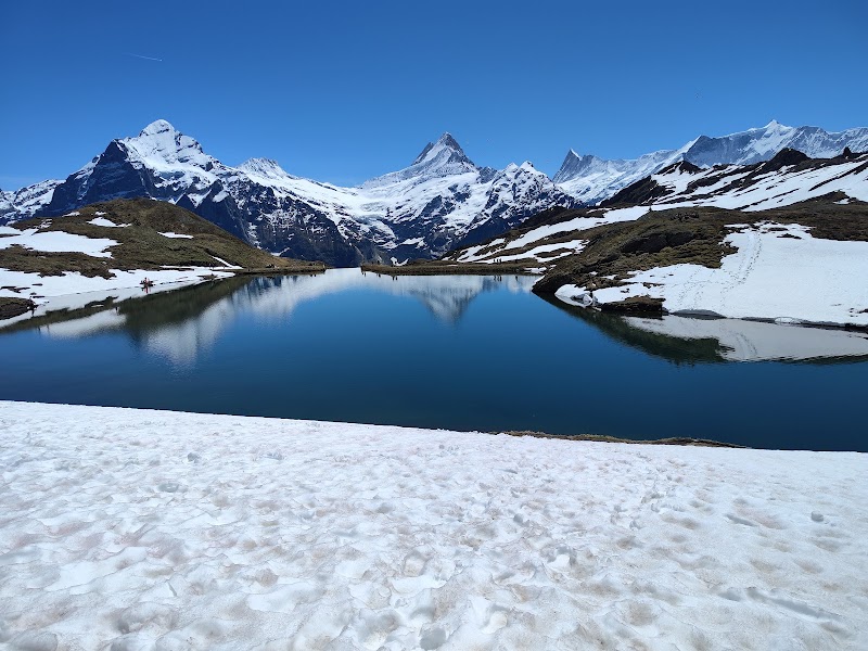 Alpine Adventure at Grindelwald-First - Top of Adventure - Grindelwald-First - Top of Adventure