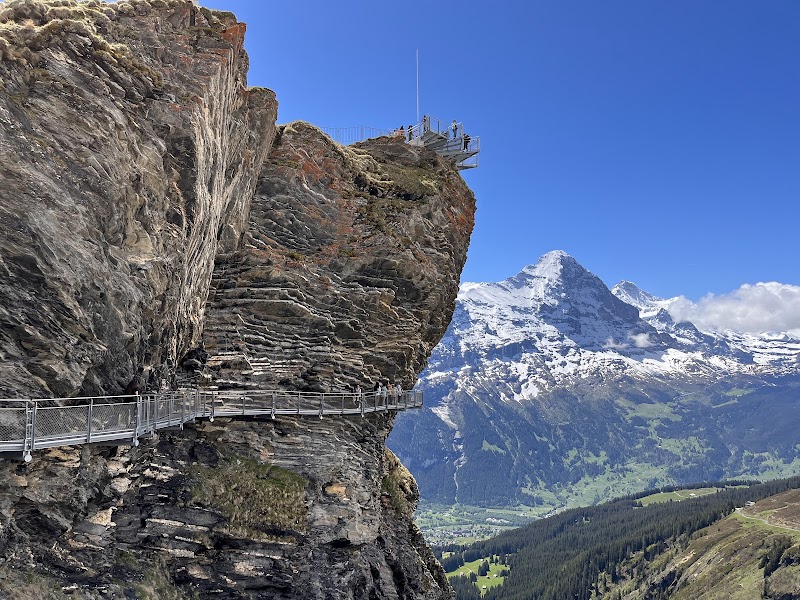Alpine Adventure at Grindelwald-First - Top of Adventure - Grindelwald-First - Top of Adventure