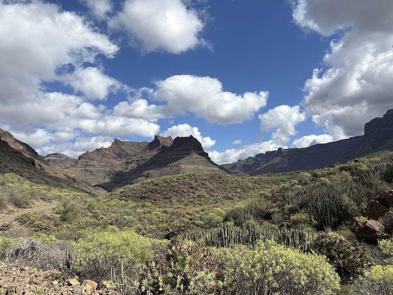 Hiking Adventures in the Canary Islands - Canary Hiking