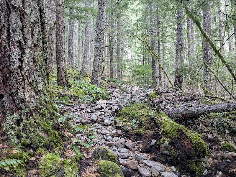 Scenic Hiking at Diablo Lake Trailhead near Rockport, WA surrounding landscape