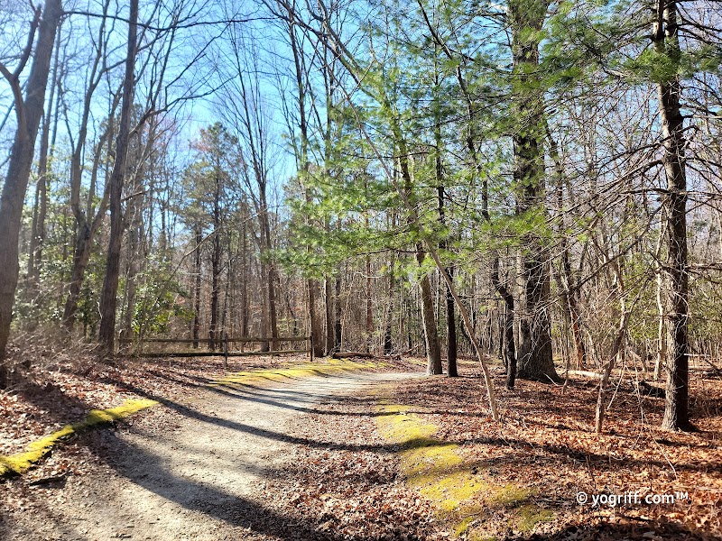 Scenic River & Woodland Retreat at Shark River Park surrounding landscape