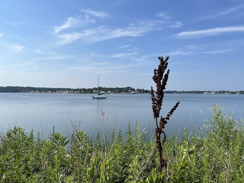 Scenic Coastal Hiking at Maclearie Trail, Belmar, NJ - Maclearie Trail