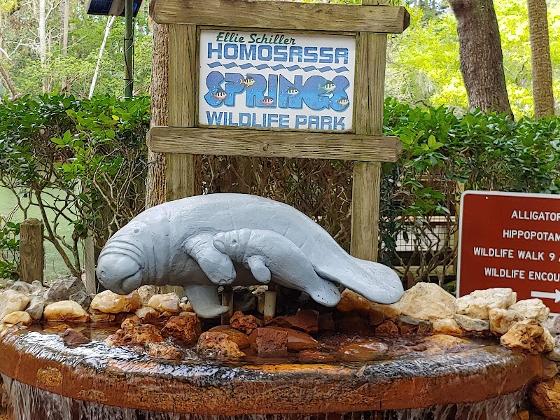 Wildlife & Springs at Ellie Schiller Homosassa Springs outdoor detail