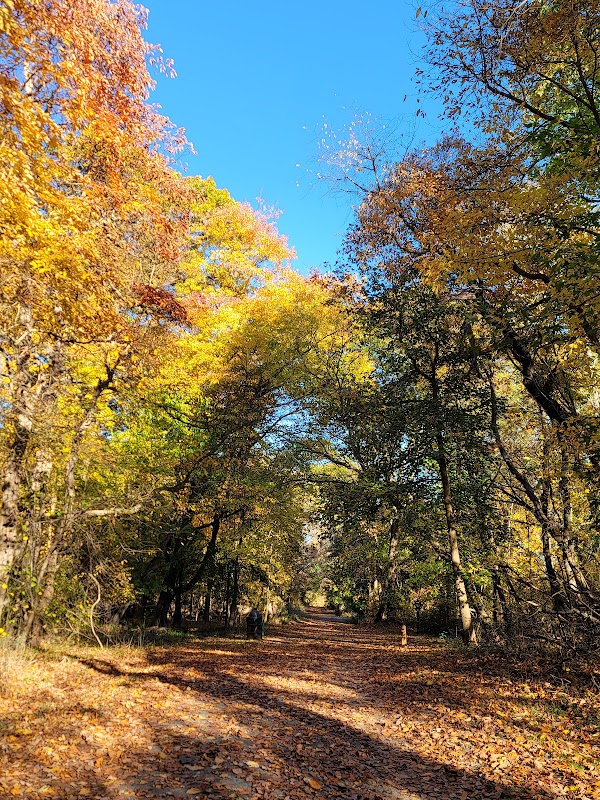 Natural Oasis at Manasquan Reservoir in Howell Township surrounding landscape