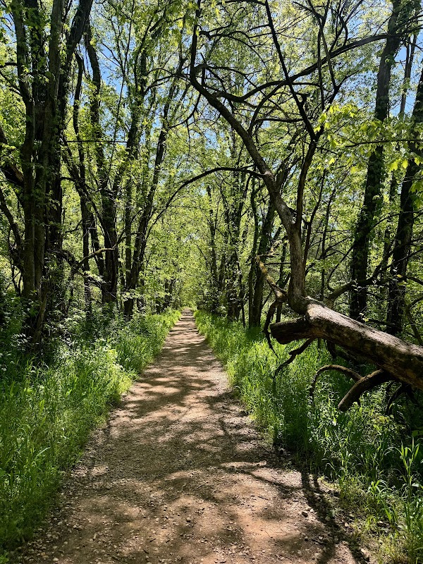Serene Water Escape at Harpeth River State Park - Hidden Lake surrounding landscape