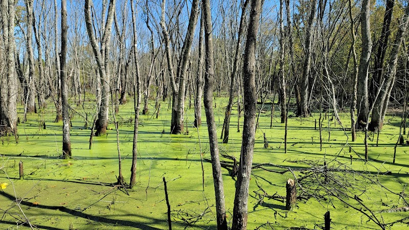 Outdoor Adventure & Wildlife at Shelby Bottoms Nature Center & Greenway surrounding landscape