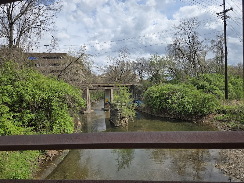 Natural Beauty at Richland Creek Greenway - McCabe Trailhead, Nashville outdoor detail