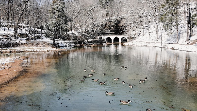 Dunbar Cave State Park - A Geological and Historical Gem in Clarksville, Tennessee surrounding landscape