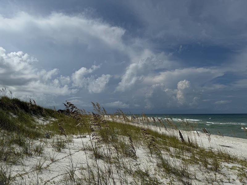 Pristine Coastal Beauty at T.H. Stone Memorial St. Joseph Peninsula State Park - T.H. Stone Memorial St. Joseph Peninsula State Park
