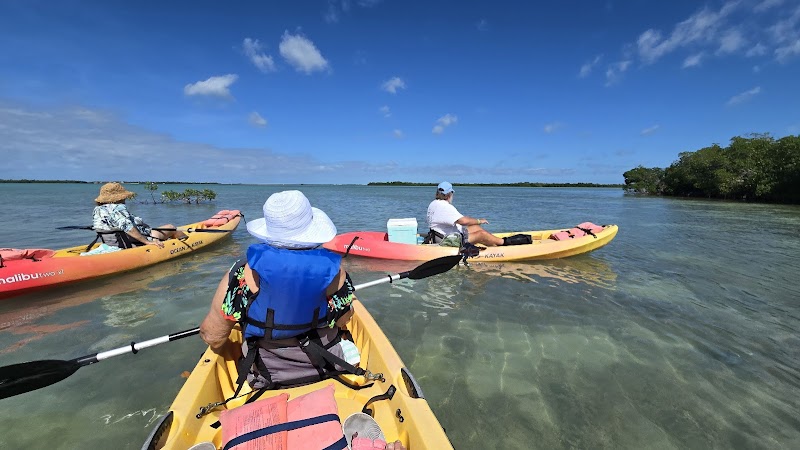 Waterway Wonders at The Paddle Hut, Geiger Key - The Paddle Hut at Geiger Key