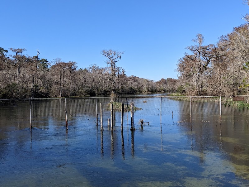Water Sports Destination: Big Bend Seagrasses Aquatic Preserve - Big Bend Seagrasses Aquatic Preserve