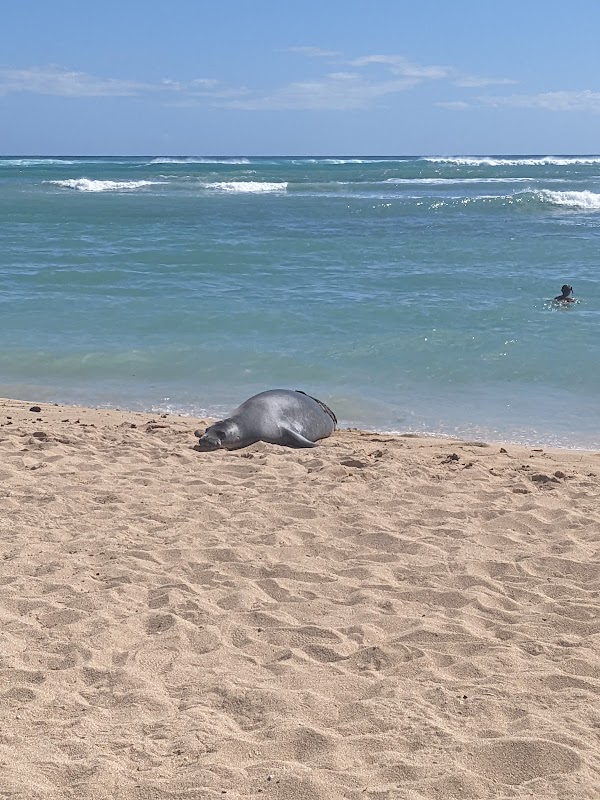 Coastal Beauty at Kaimana Beach, Honolulu - Kaimana Beach