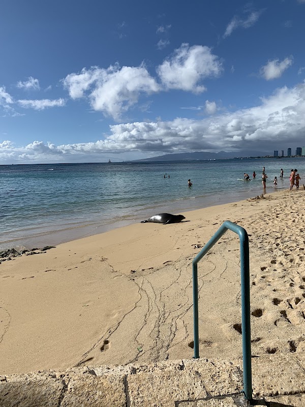 Coastal Beauty at Kaimana Beach, Honolulu - Kaimana Beach