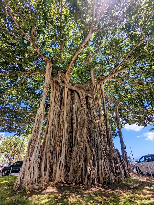 Seaside Escape at Waikīkī Beach, Honolulu - Waikīkī Beach