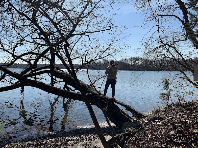 Wetland Wandering at SERC Sparrow's Rest Trail, Edgewater surrounding landscape