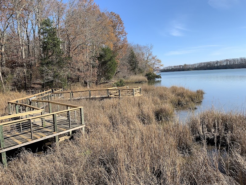 SERC Campus Preserve adventures