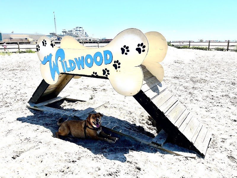 Dog-Friendly Beach Escape at Wildwood Dog Park & Beach surrounding landscape