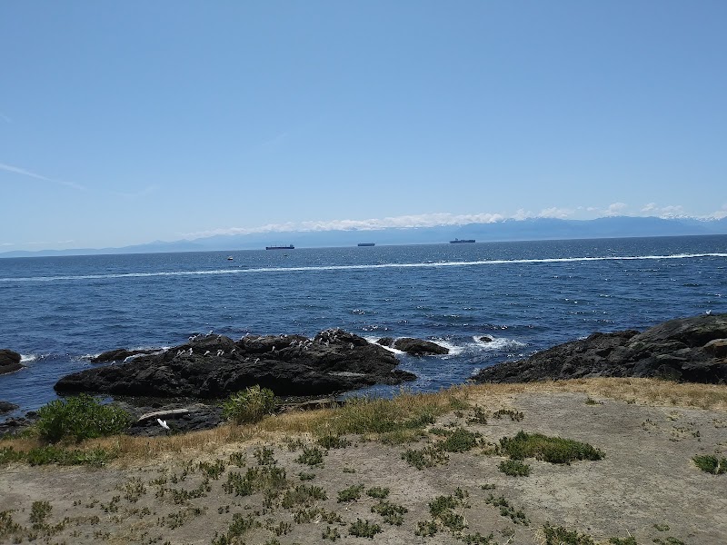 Coastal Views at Clover Point Park, Victoria surrounding landscape