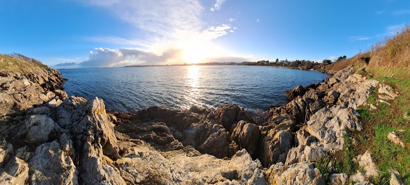 Coastal Charm at Willows Beach in Victoria, BC surrounding landscape