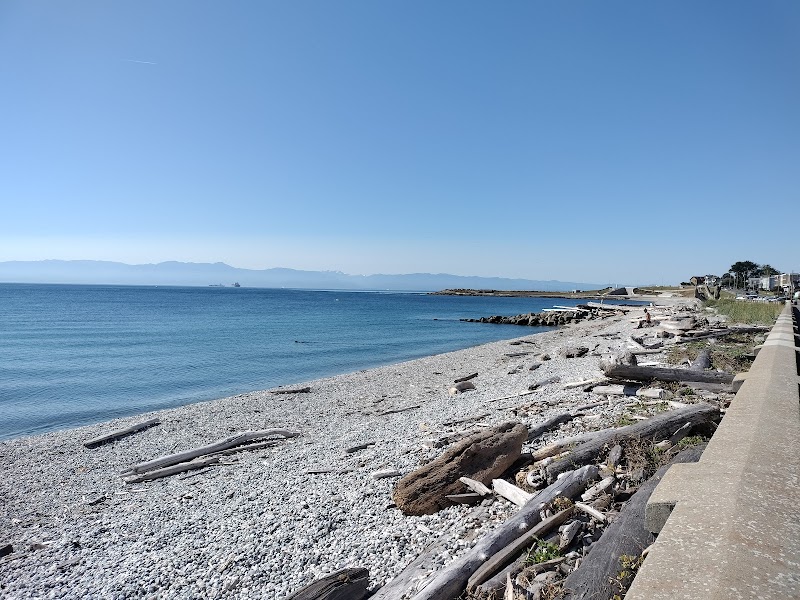 Coastal Pebble Beauty at Ross Bay Pebbles Beach, Victoria surrounding landscape