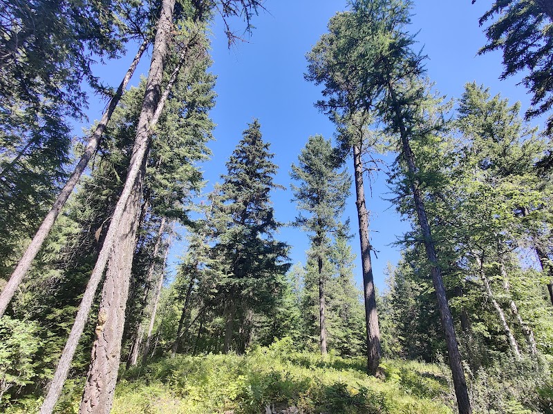 Scenic Hiking at Reservoir Trailhead, Whitefish, MT outdoor detail