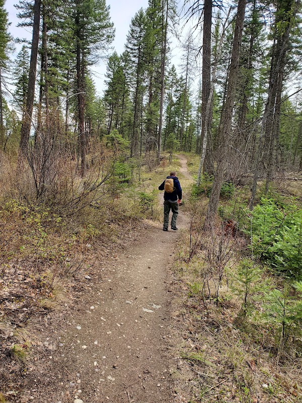 Nature's Gateway at Skyles Trailhead, Whitefish, Montana surrounding landscape