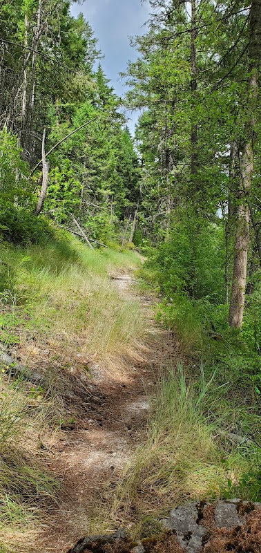 Nature's Gateway at Skyles Trailhead, Whitefish, Montana outdoor detail