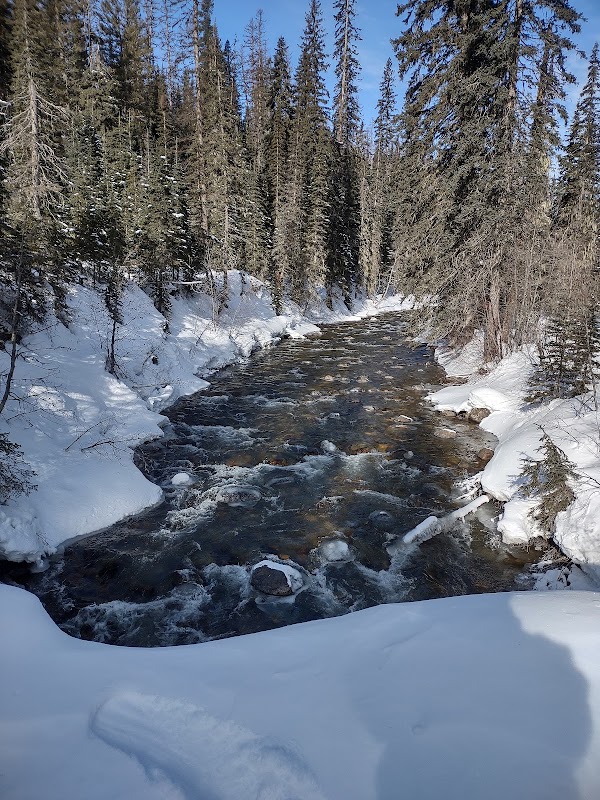 Natural Beauty at Swift Creek Trailhead, Whitefish Trail surrounding landscape