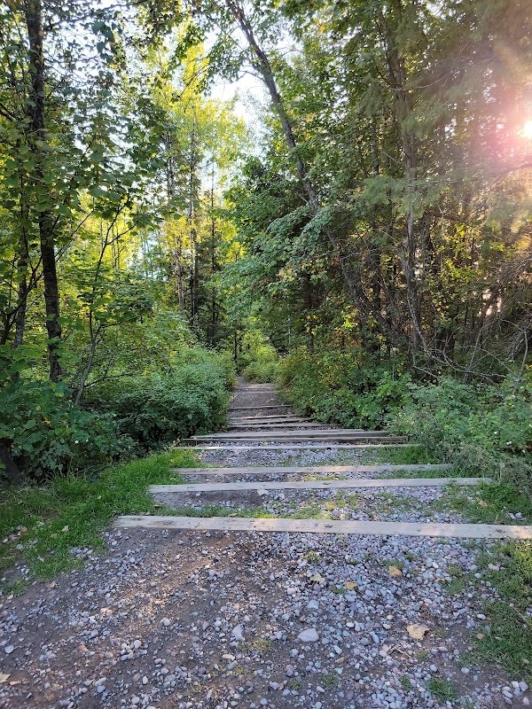 Lakefront Charm at Les Mason State Park in Whitefish, Montana surrounding landscape