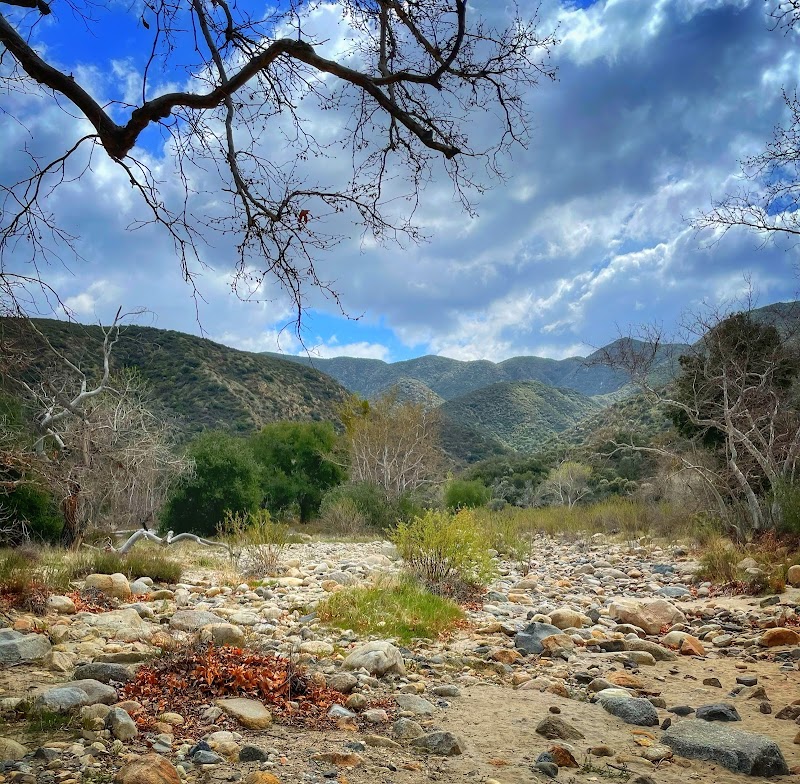 Scenic Wilderness Hiking in Agua Tibia Wilderness surrounding landscape