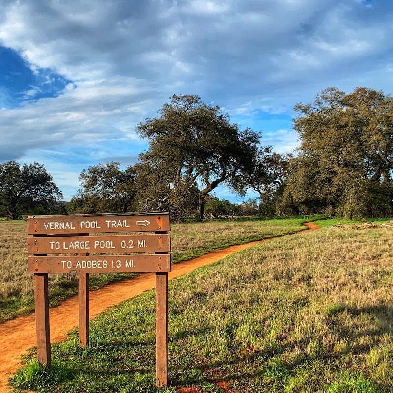Wild Wonders of Santa Rosa Plateau Ecological Preserve surrounding landscape