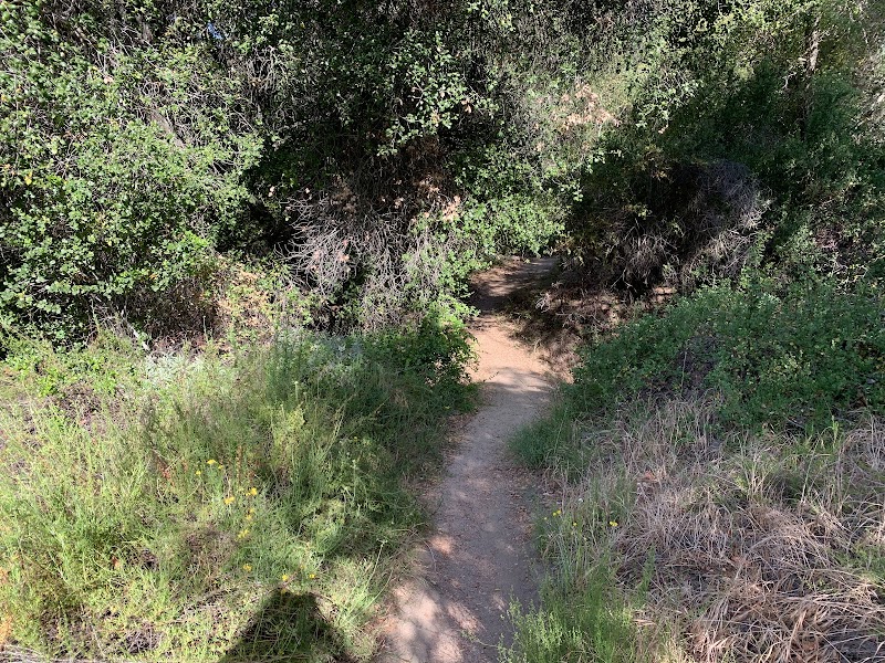 Natural Beauty at Tenaja Falls Trail Head outdoor detail