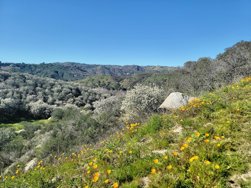 Riverside Trails & Nature at Santa Margarita River Trail Preserve outdoor detail