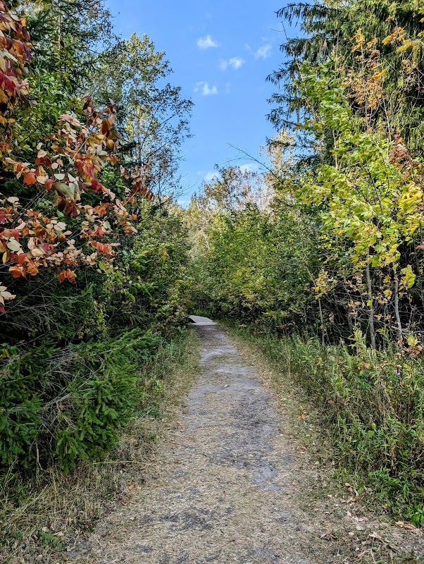 Natural Beauty at Crossroads At Big Creek, Sturgeon Bay surrounding landscape