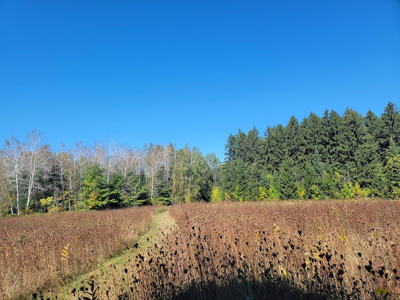 Natural Beauty at Crossroads At Big Creek, Sturgeon Bay - Crossroads At Big Creek
