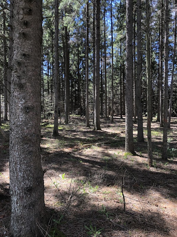 Natural Beauty at Crossroads At Big Creek, Sturgeon Bay - Crossroads At Big Creek