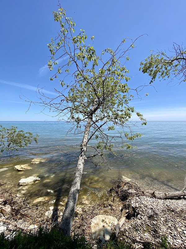 Natural Shoreline Beauty at Legacy Nature Preserve at Clay Banks outdoor detail