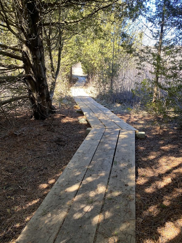 Natural Shoreline Beauty at Legacy Nature Preserve at Clay Banks - Legacy Nature Preserve at Clay Banks