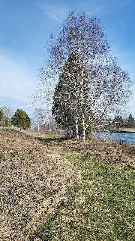 Waterfront Serenity at Sturgeon Bay Canal Trail West surrounding landscape
