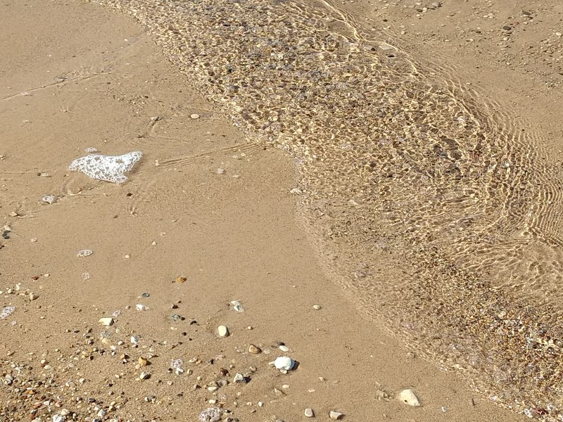 Scenic Beaches of Sturgeon Bay Beach, Carp Lake, Michigan outdoor detail