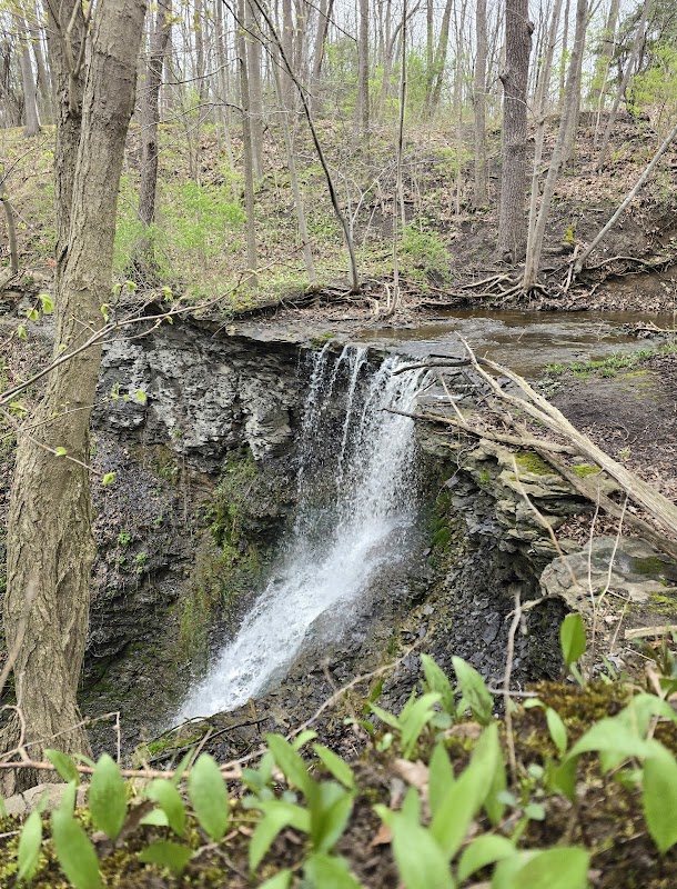 Waterfall Wonders at Indian Fort Nature Preserve - Indian Fort Nature Preserve