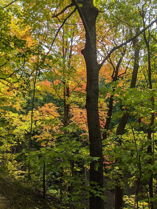Waterfall Wonders at Indian Fort Nature Preserve outdoor detail