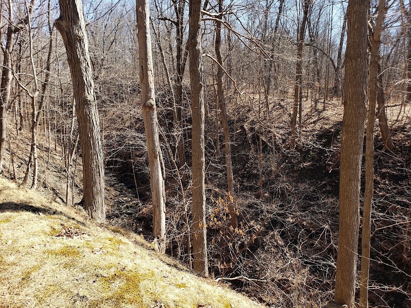 Waterfall Wonders at Indian Fort Nature Preserve - Indian Fort Nature Preserve
