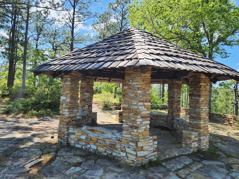 Scenic Forest Views at Longleaf Vista Nature Trail - Longleaf Vista Nature Trail