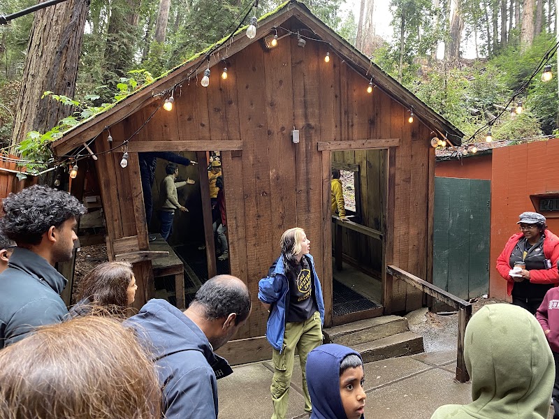 Optical Illusions and Forest Mysteries in Santa Cruz - The Mystery Spot