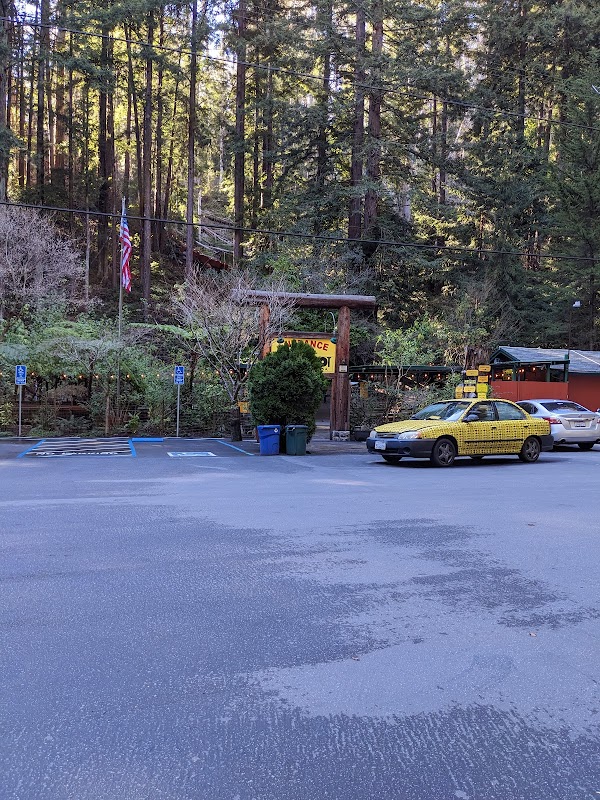 Optical Illusions and Forest Mysteries in Santa Cruz surrounding landscape